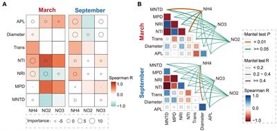 Impact of soil inorganic nitrogen on bacterial phylogeny in estuarine intertidal zones: a study of nitrogen metabolism